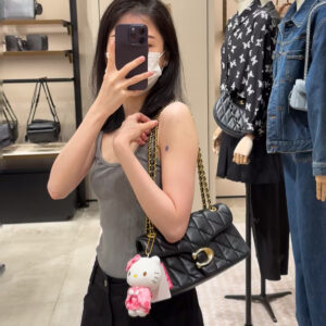 Lady's bag