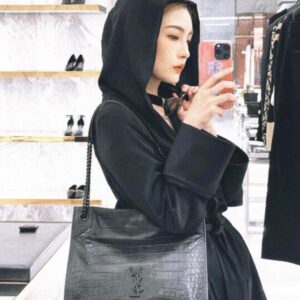 Lady's bag