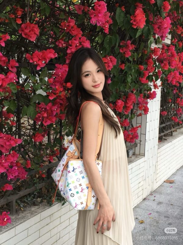 Lady's bag - 图片 2