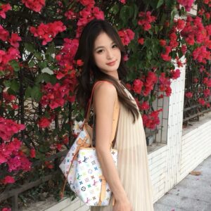 Lady's bag