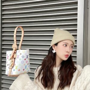 Lady's bag