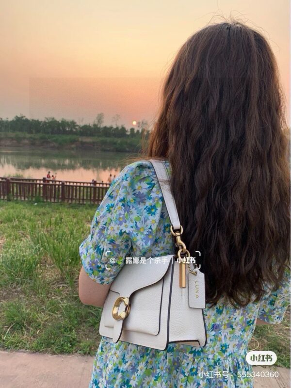 Lady's bag - 图片 2