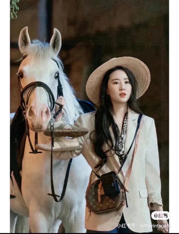 Lady's bag - 图片 5