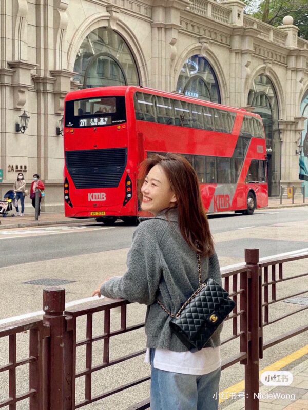Lady's bag - 图片 4