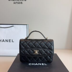 Lady's bag