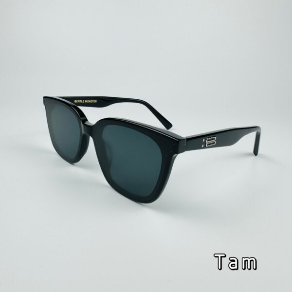 Accessories - 图片 2