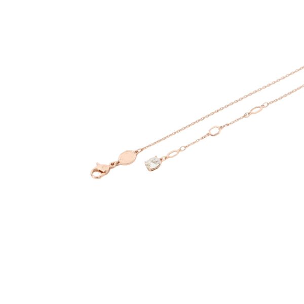 Accessories - 图片 7