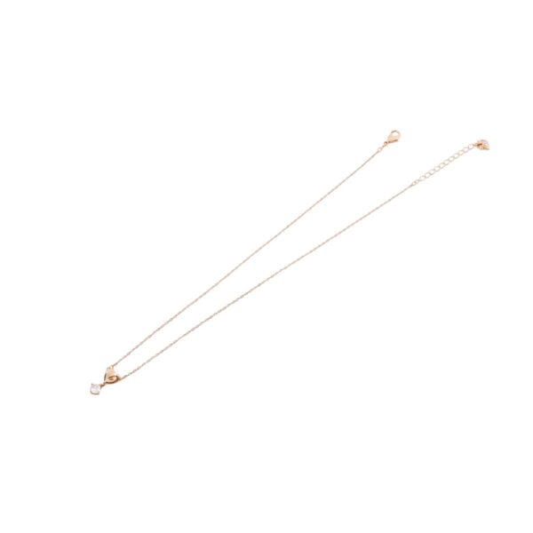Accessories - 图片 5