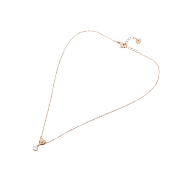 Accessories - 图片 6