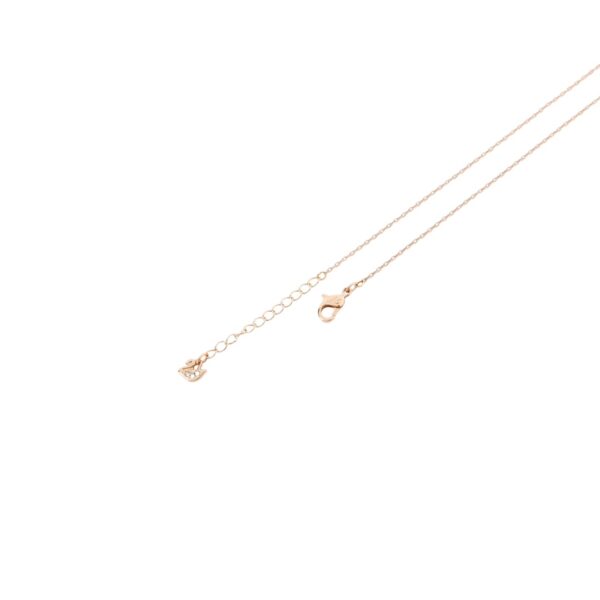 Accessories - 图片 7