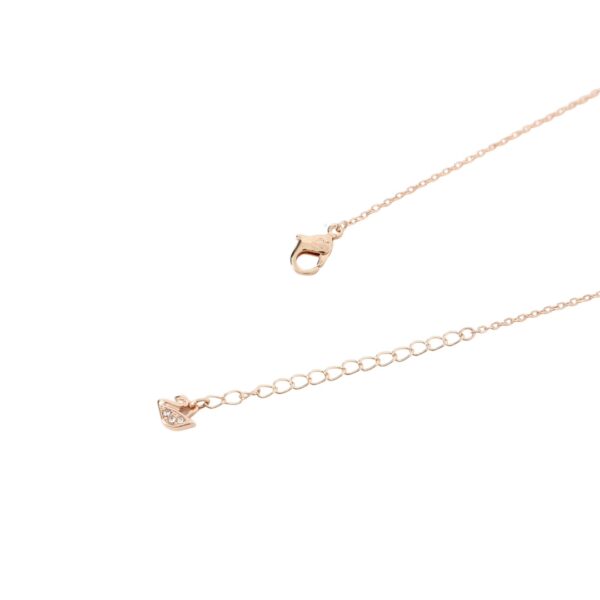 Accessories - 图片 5