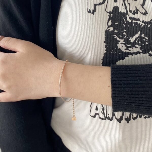 Accessories - 图片 10