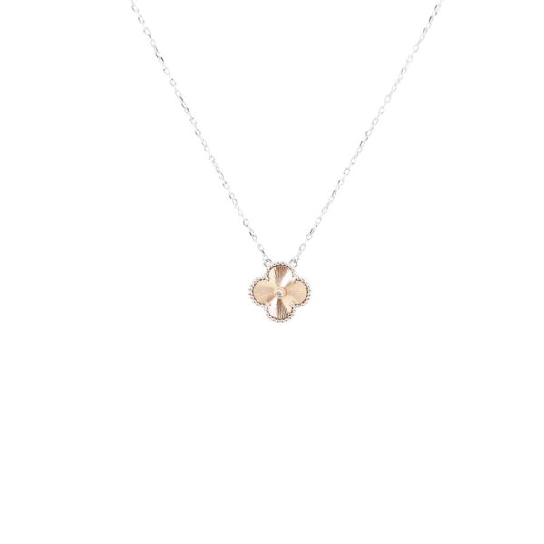 Accessories - 图片 6
