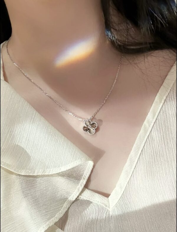 Accessories - 图片 8