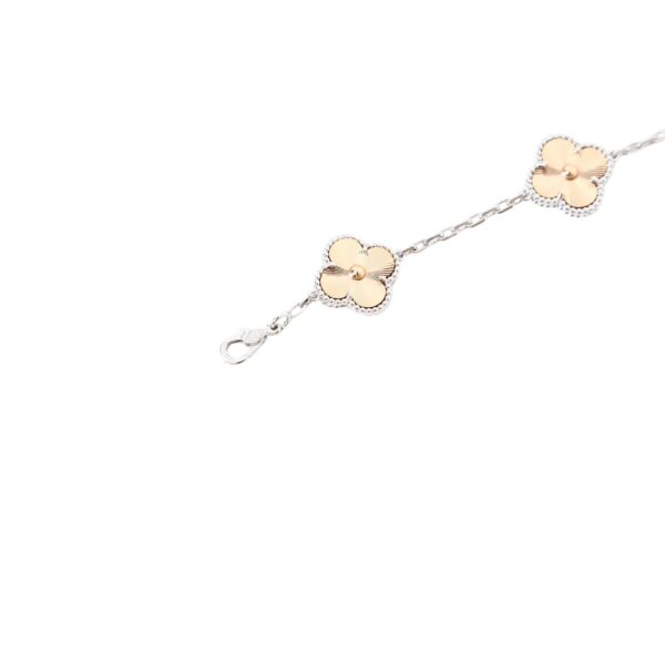 Accessories - 图片 6