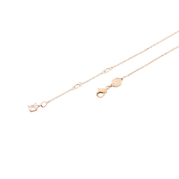 Accessories - 图片 6
