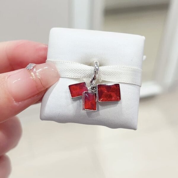 Accessories - 图片 10