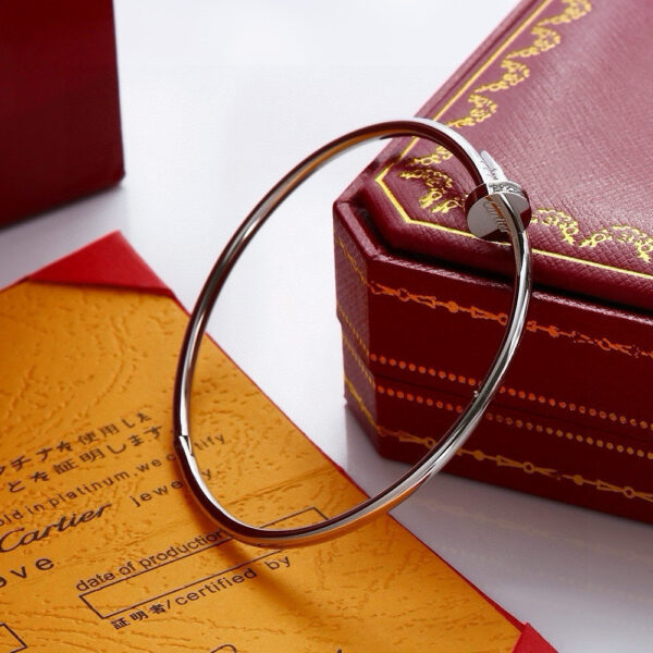 Accessories - 图片 3