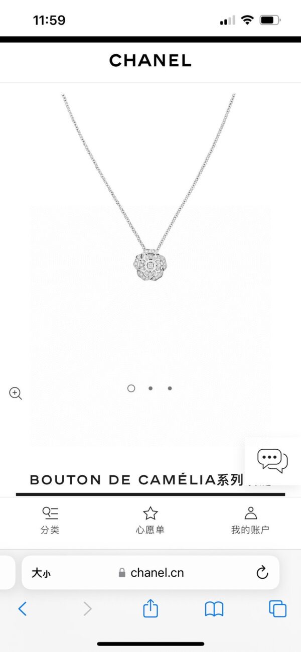 Accessories - 图片 2