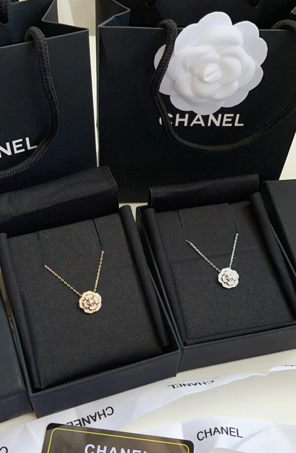 Accessories - 图片 3