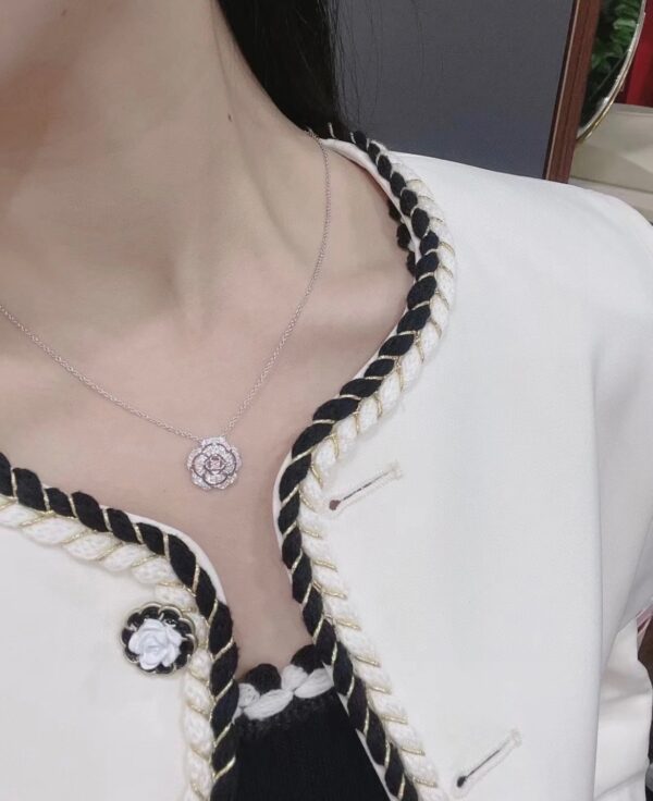 Accessories - 图片 4