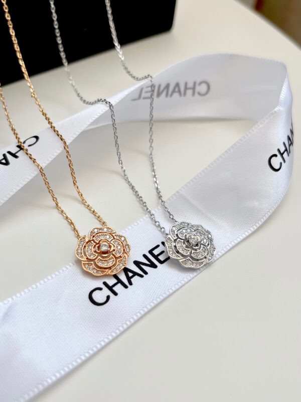 Accessories - 图片 6