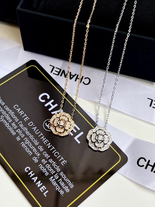 Accessories - 图片 7