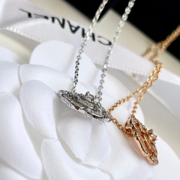 Accessories - 图片 8