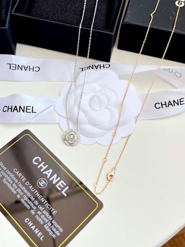 Accessories - 图片 9