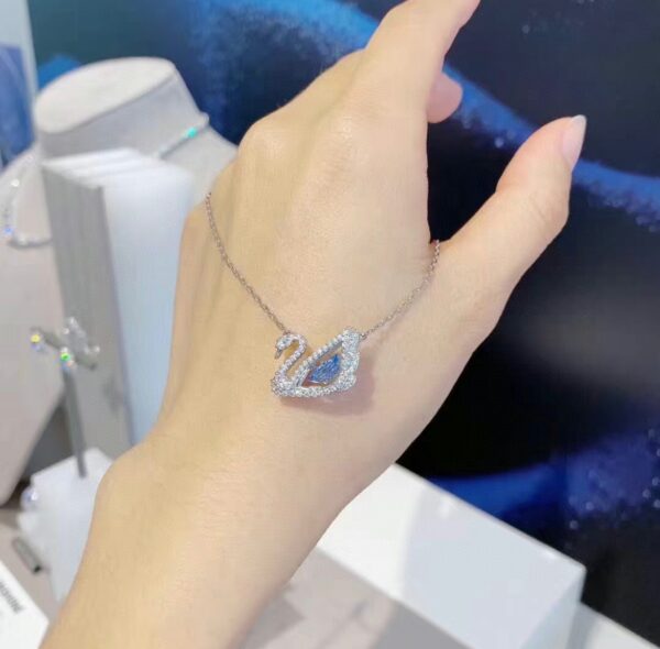 Accessories - 图片 4