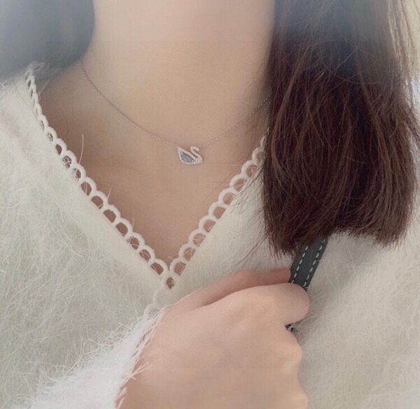Accessories - 图片 4