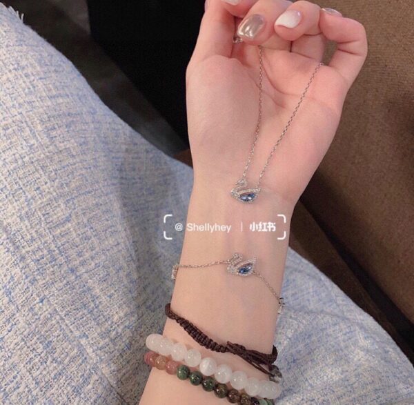 Accessories - 图片 6