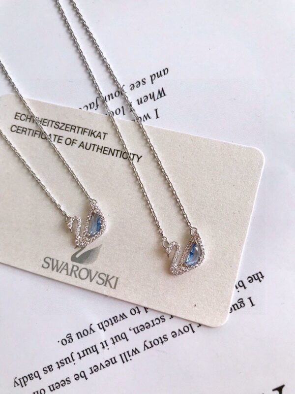 Accessories - 图片 7