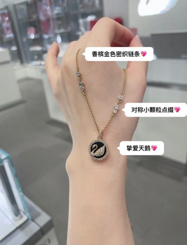 Accessories - 图片 10