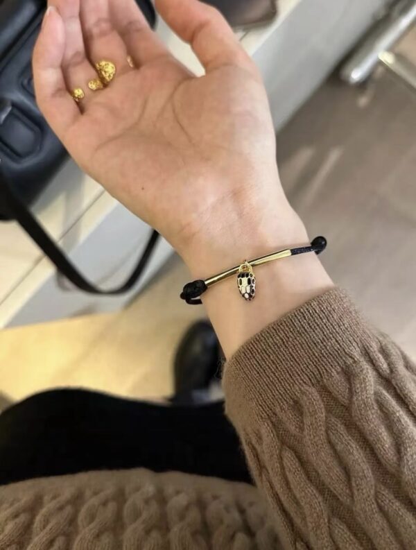Accessories - 图片 3