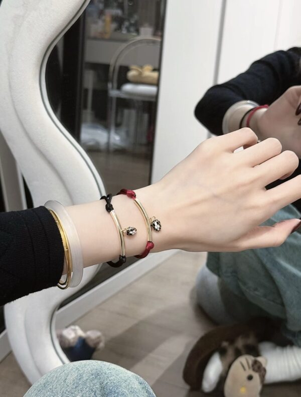Accessories - 图片 4