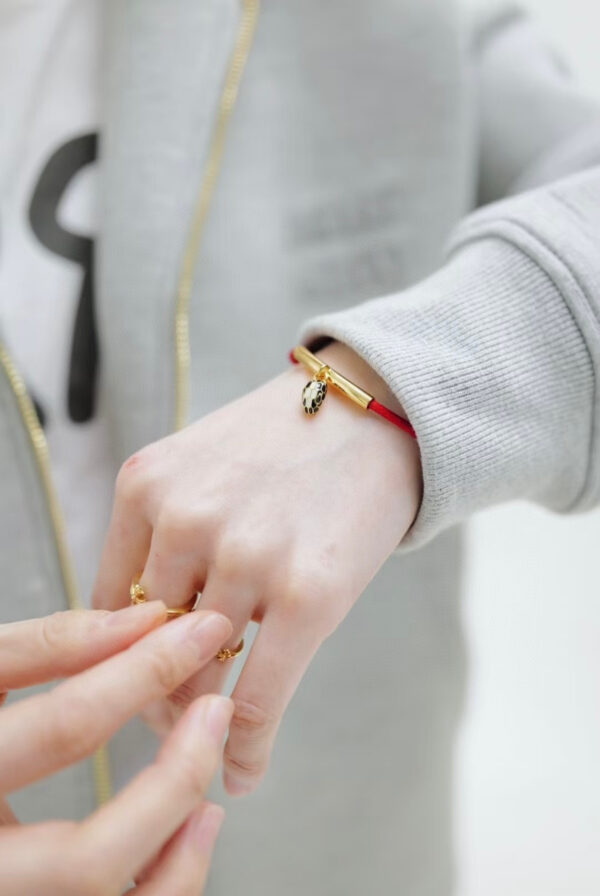Accessories - 图片 5