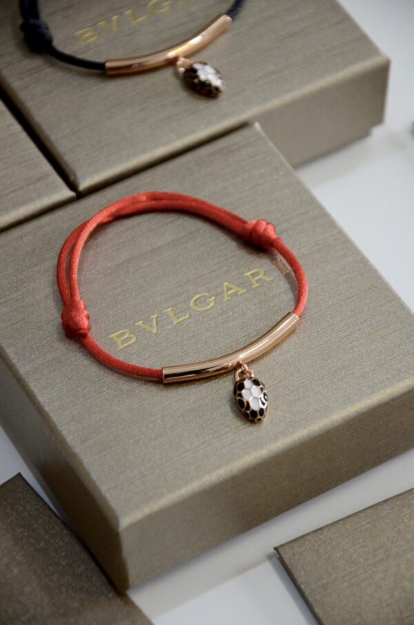 Accessories - 图片 10