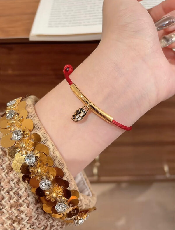 Accessories - 图片 13