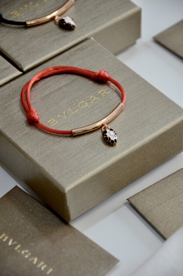 Accessories - 图片 16