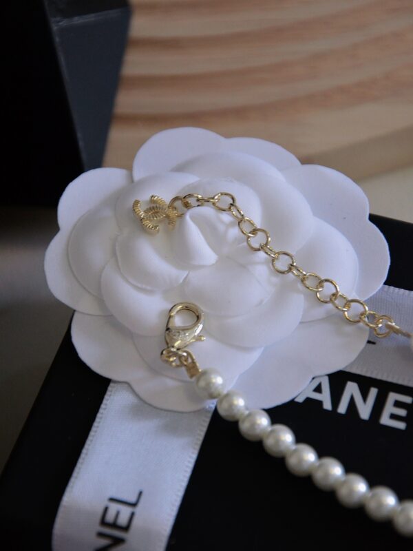 Accessories - 图片 6