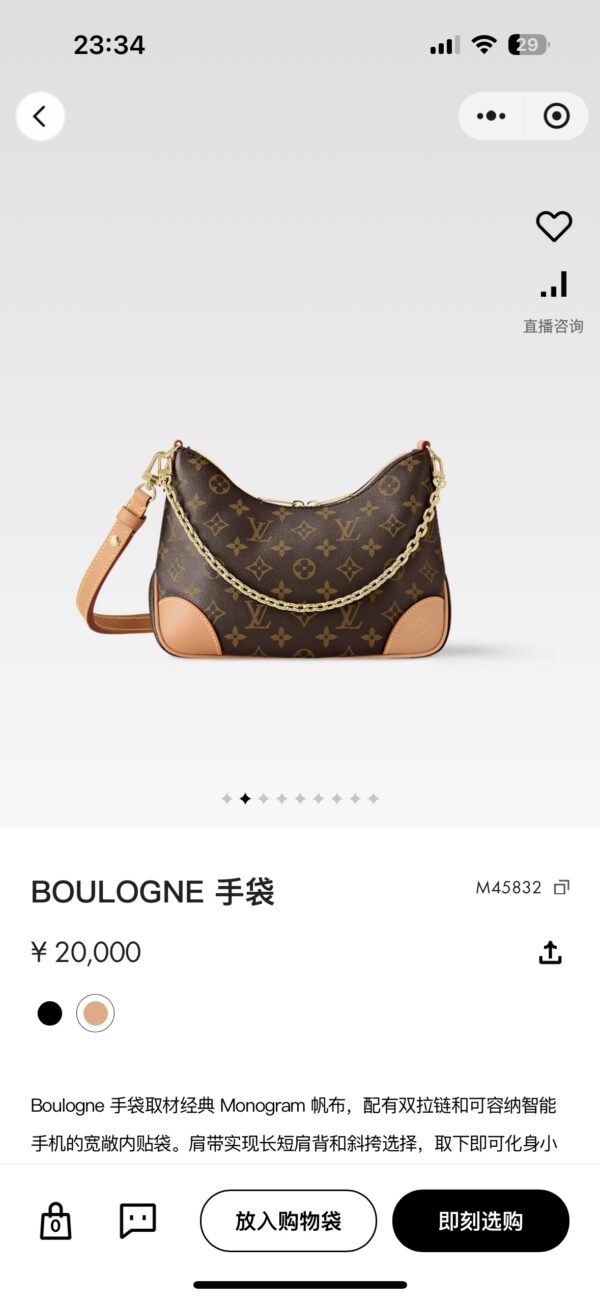 Lady's bag - 图片 2