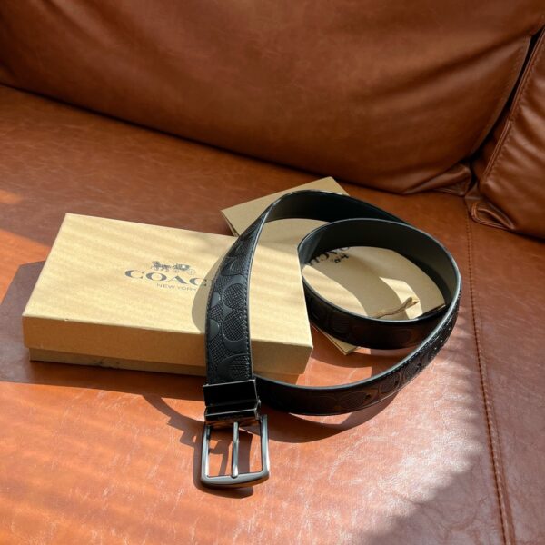 Accessories - 图片 6