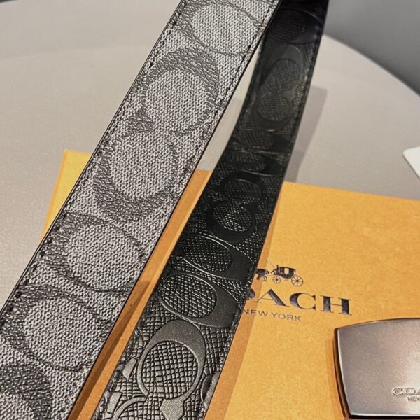 Accessories - 图片 5