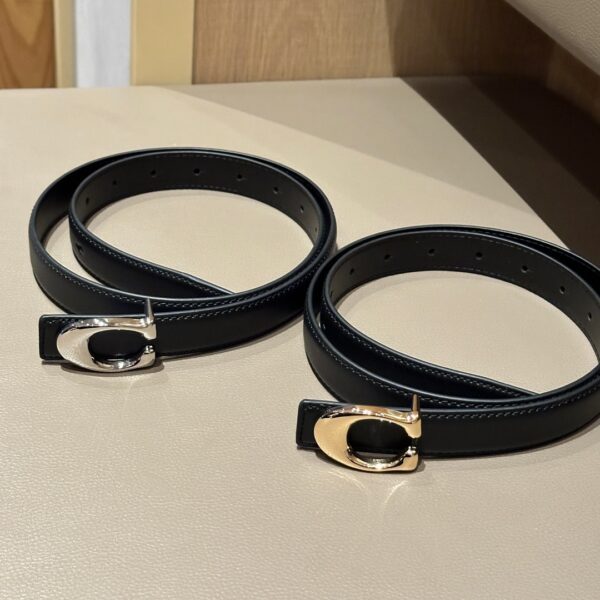 Accessories - 图片 2