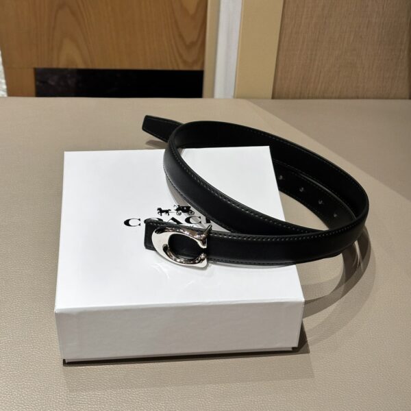 Accessories - 图片 4