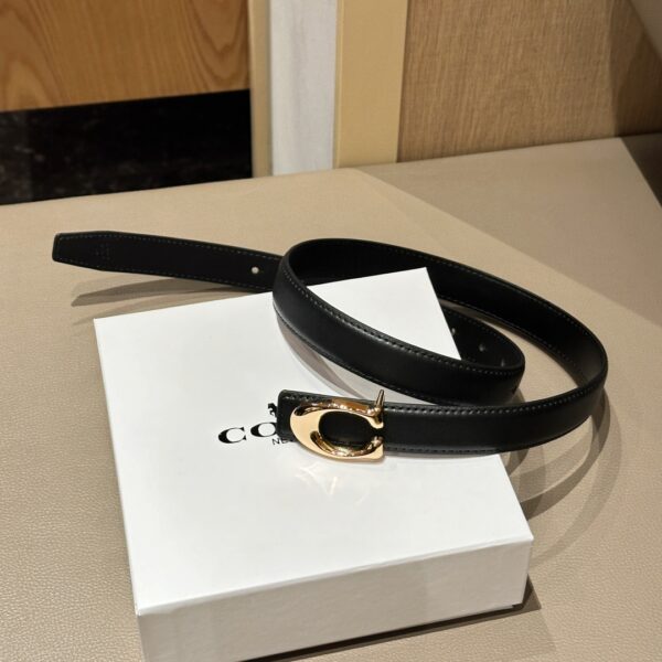Accessories - 图片 5