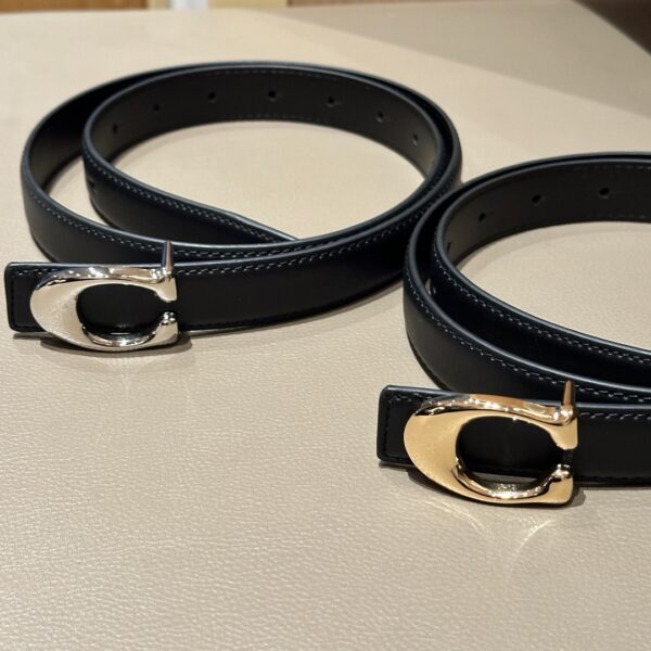 Accessories - 图片 6