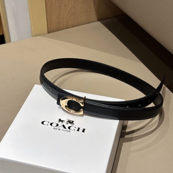Accessories - 图片 9