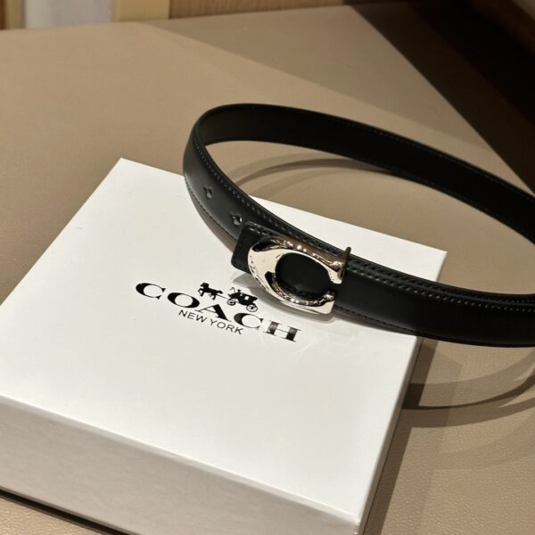 Accessories - 图片 10